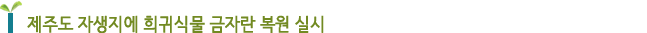 제주도 자생지에 희귀식물 금자란 복원 실시