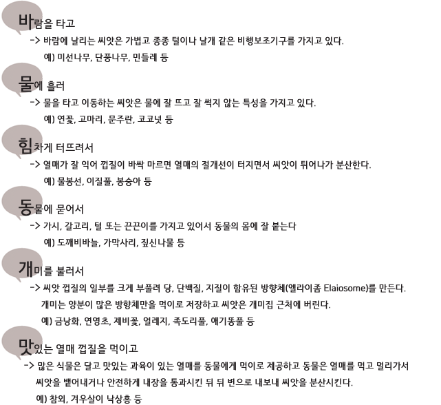 바람을 타고, 물에 흘러, 힘차게 터뜨려서, 동물에 묻어서, 개미를 불러서, 맛있는 열매 껍질을 먹이고