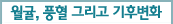 희귀식물 나도풍란 자생지 복원