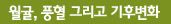 희귀식물 나도풍란 자생지 복원