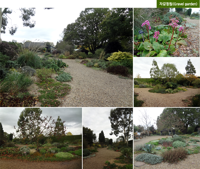 자갈정원(Gravel garden)