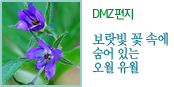 DMZ 편지 보랏빛 꽃 속에숨어 있는 오월 유월