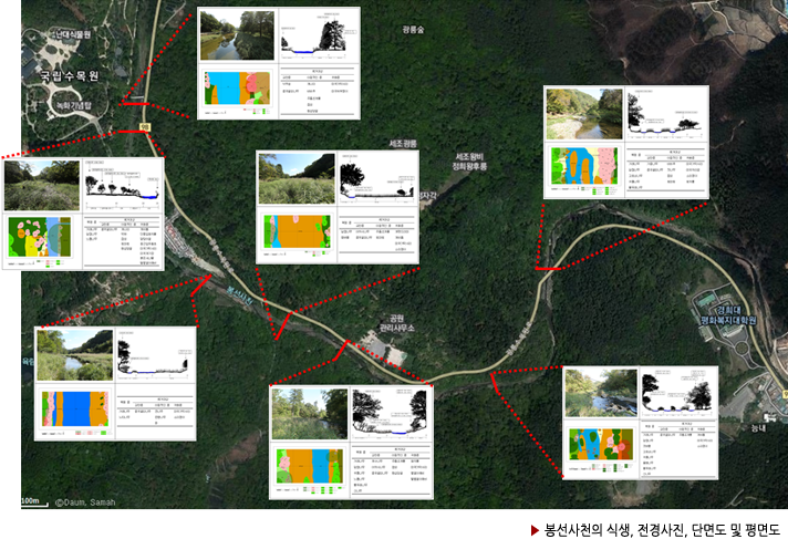 ▶ 봉선사천의 식생, 전경사진, 단면도 및 평면도 